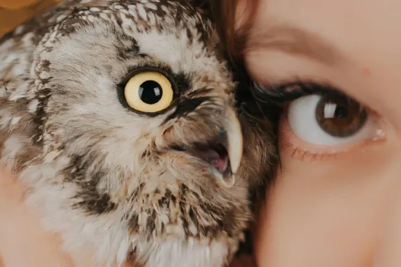 Казино Б Бетс Поддръжка